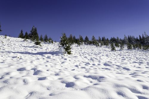 winter scene mountain