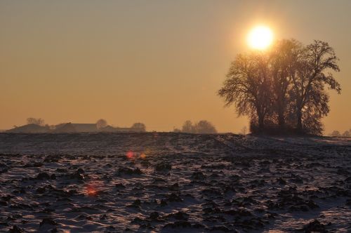 winter snow landscape