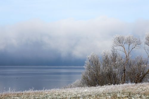 winter fog white