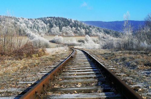 tracks winter frost
