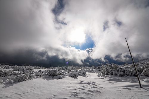 winter snow landscape