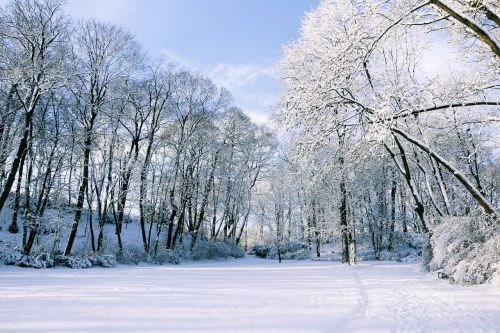 winter snow landscape