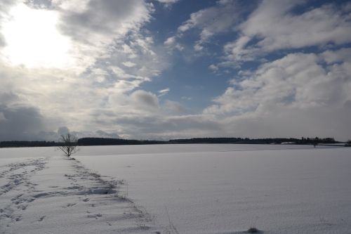 winter snow wintry