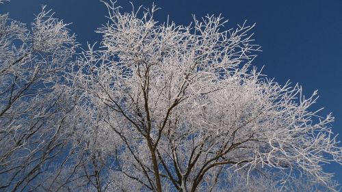 winter snow wintry