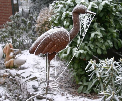 winter frost still life