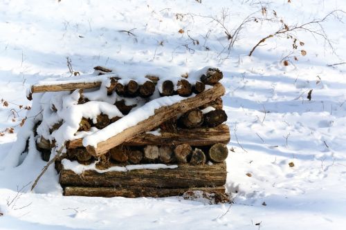 winter snow wood