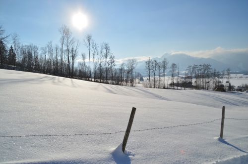 winter sun frost