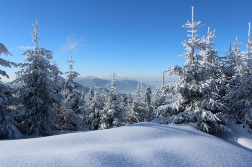 winter snow icing