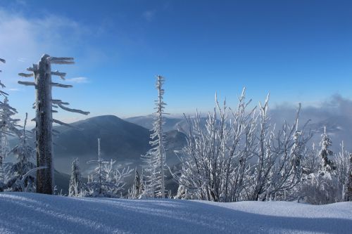 winter snow icing