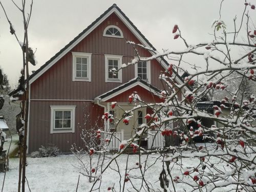 winter home snowy