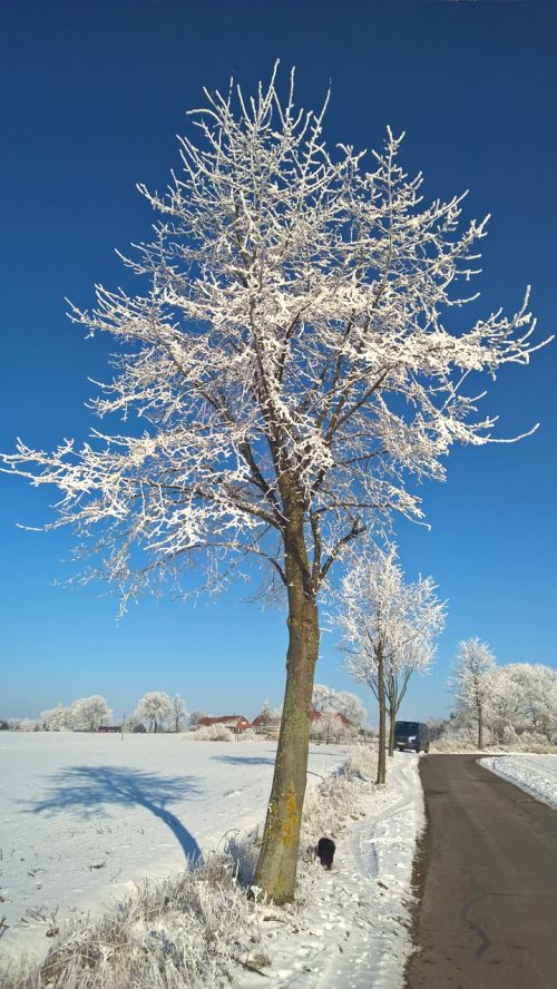 winter snow sun