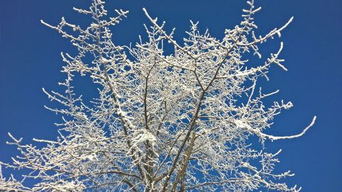 winter snow sun