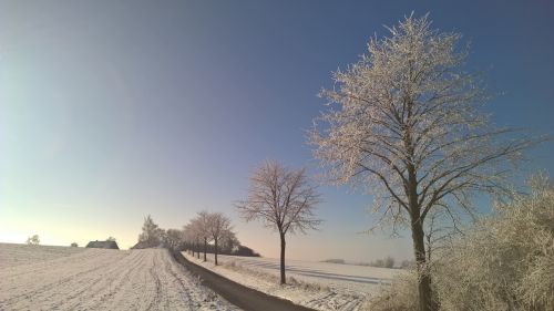 winter snow sun