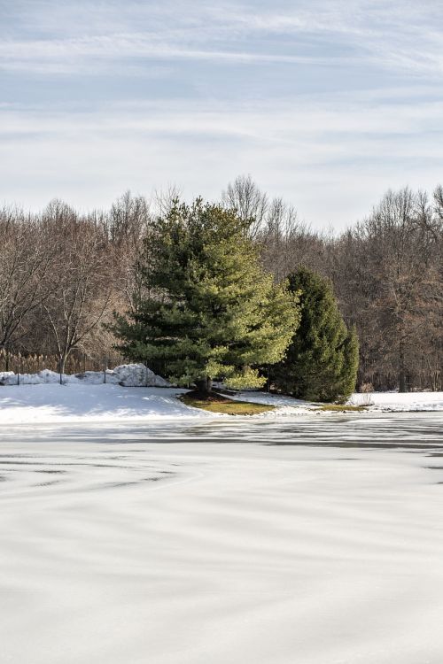 winter pond lake