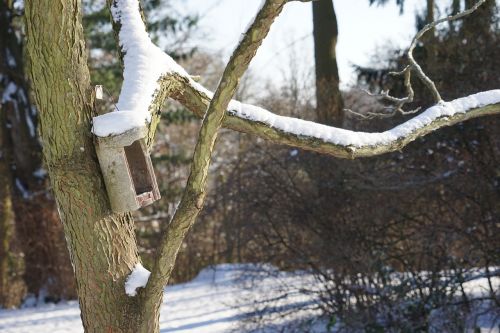 winter fodder filters bird