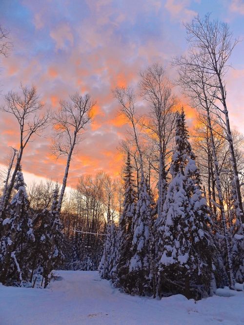 winter sunset landscape