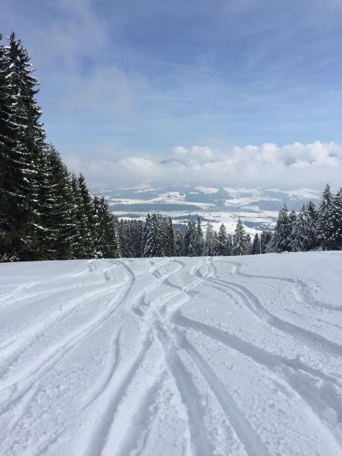 winter snow tracks in the snow