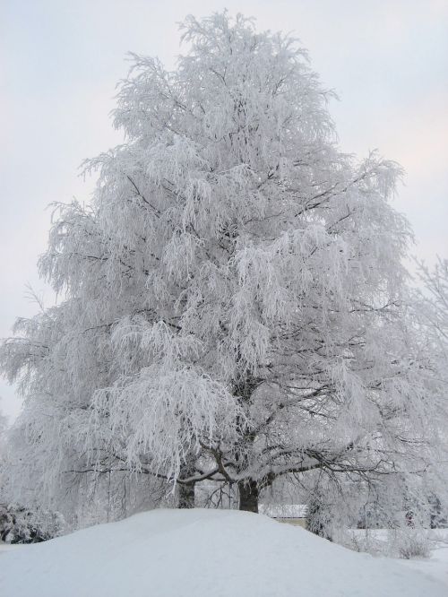 winter finnish snow