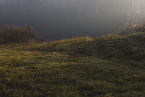 winter path morning