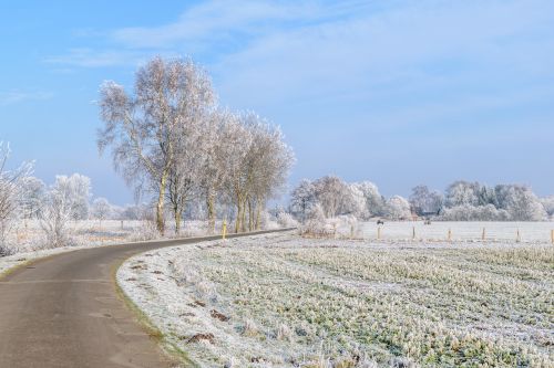 winter snow wintry