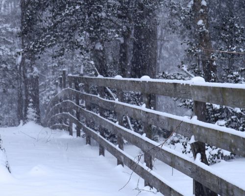 winter snow landscape