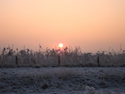 winter snow nature