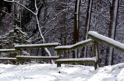 winter snow winter landscape