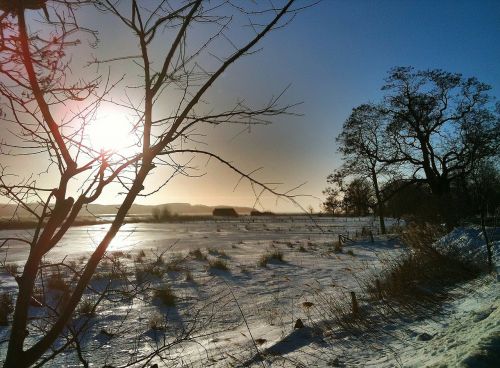 winter sun back light