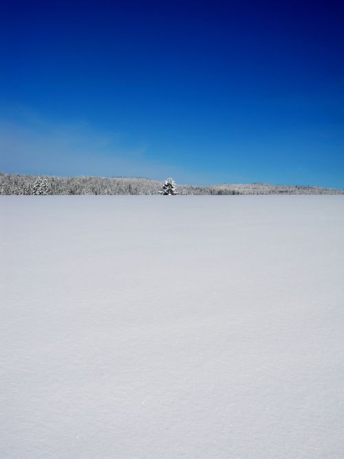 winter landscape nature