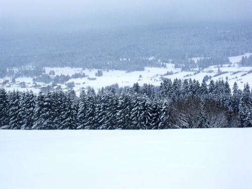 winter landscape nature