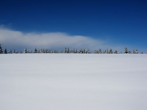 winter snow plain