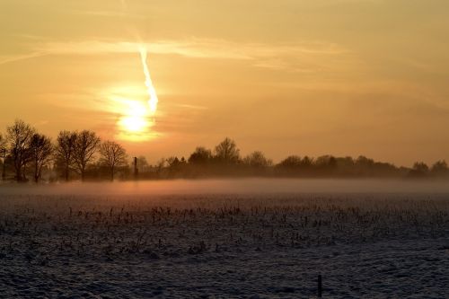 winter frost snow