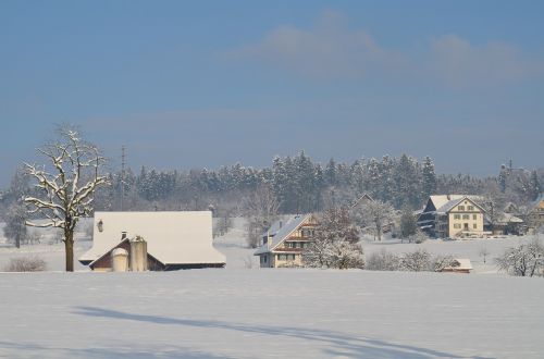 winter snow wintry