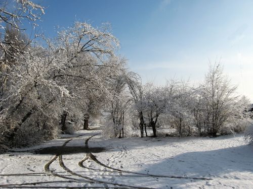 winter morning landscape