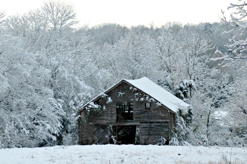 winter snow nature