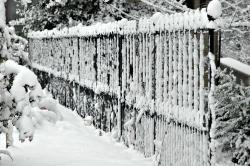 fence winter snow