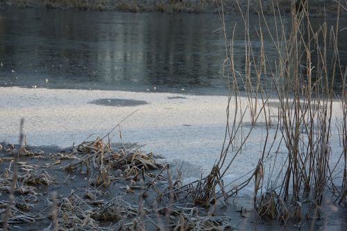 winter lake frost