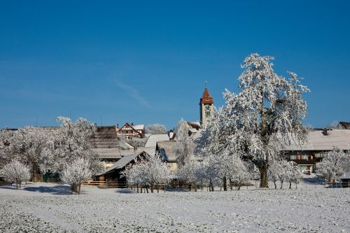 winter snow trees