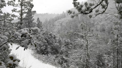 winter landscape snow