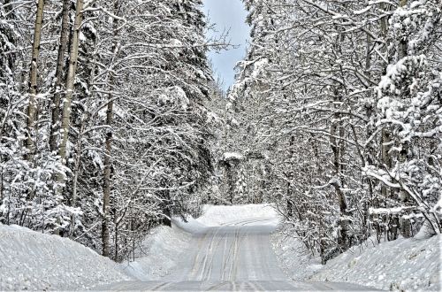 winter road rural