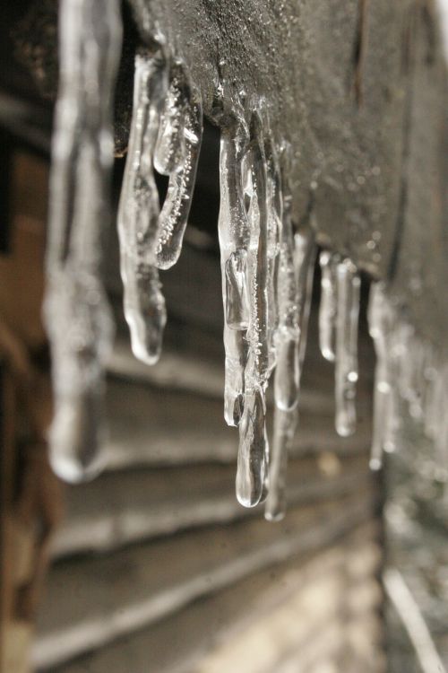 winter ice icicle