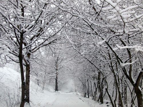 winter snow road