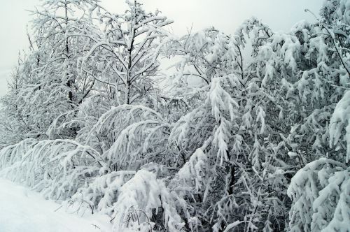 winter snow wintry