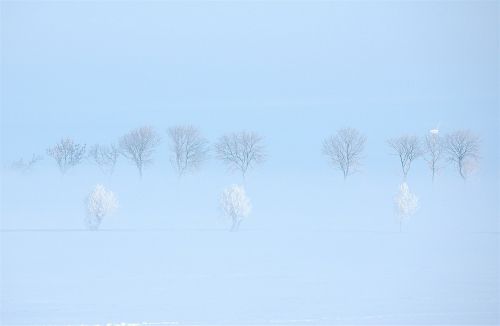 winter sweden snow