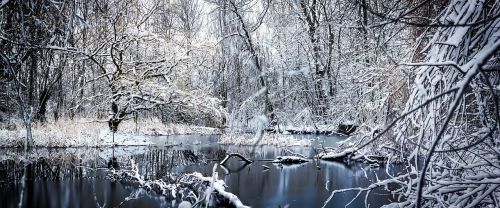 winter saxony snow