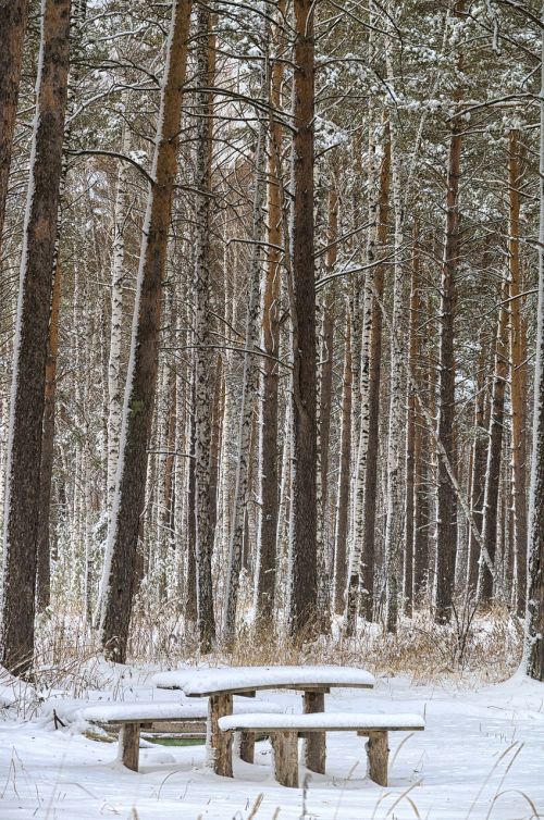 winter bench snow