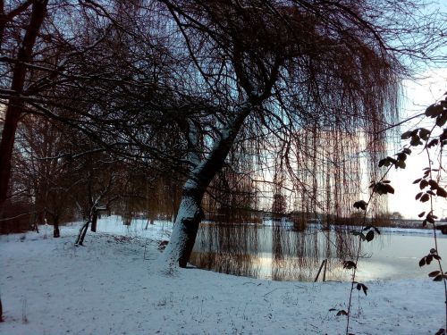 winter lake snow