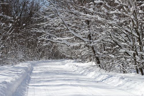 winter snow scenic