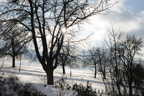 eberdingen winter sun