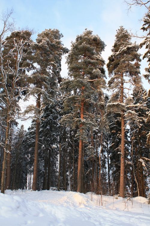 winter finland snow